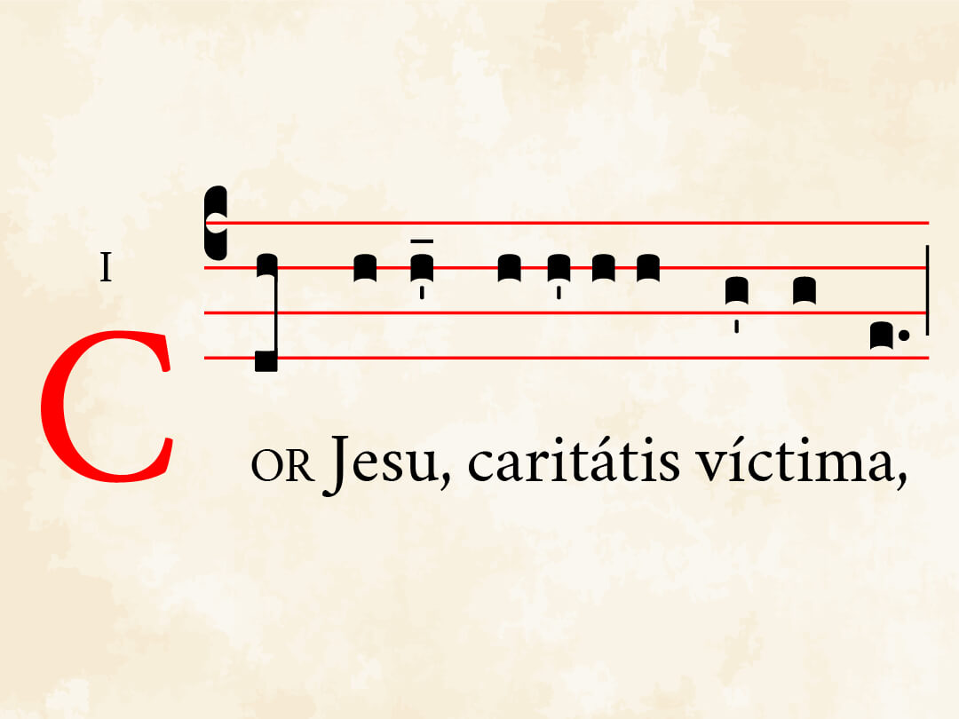 Cor Jesu caritatis victima I