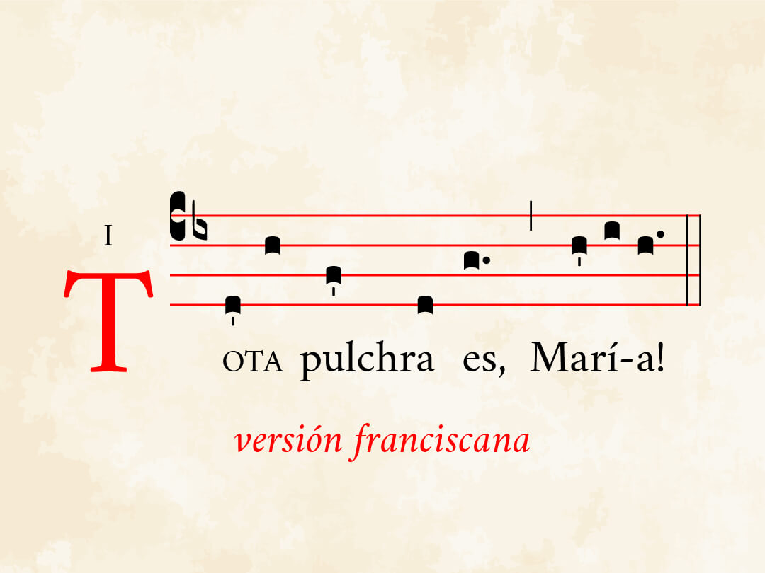 Tota pulchra es Maria (Franciscana)