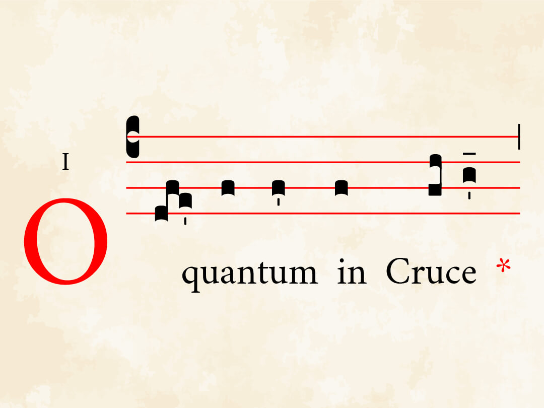O quantum in Cruce