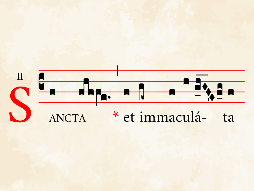 Sancta et immaculata