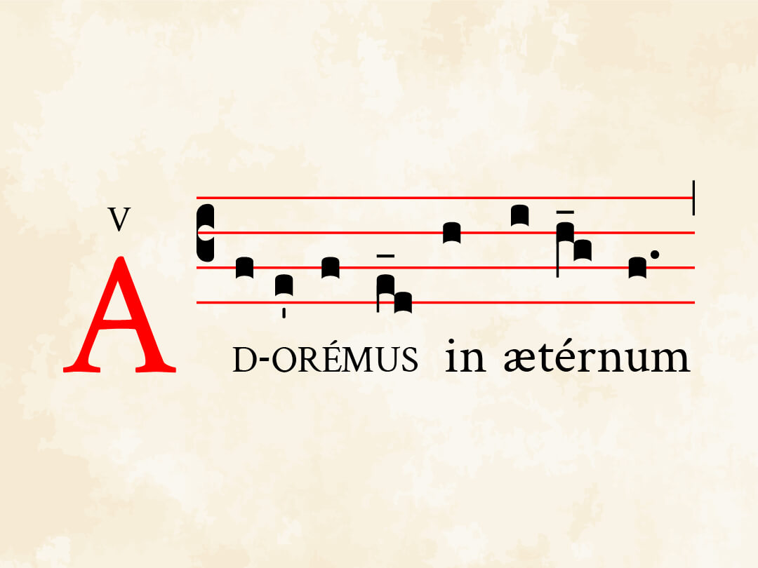 Adoremus in aeternum I