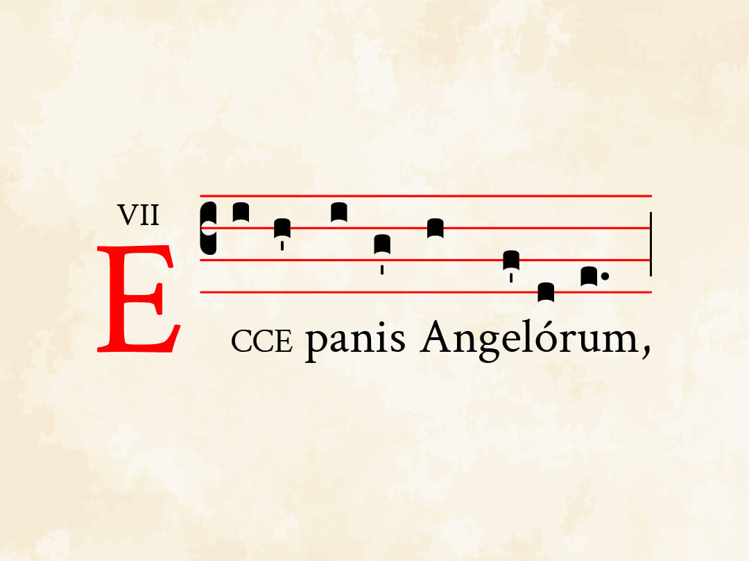 Ecce panis Angelorum